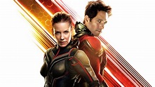 Ant-Man and the Wasp (2018)- After the Credits | MediaStinger