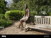 Statue of young Charles Darwin Darwin Sculpture| Christ's College Stock ...