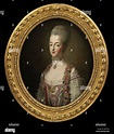Portrait of Queen Marie Antoinette of France (1755-1793 Stock Photo - Alamy