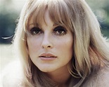 Today in History: Actress Sharon Tate found murdered - AOL News