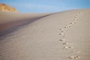 Spuren im Sand... Foto & Bild | world, natur, landschaft Bilder auf ...