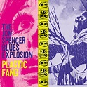 Classic Album Review: Jon Spencer Blues Explosion | Plastic Fang ...