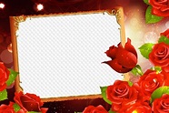 Marco de foto con rosas rojas - Marco de flores PNG