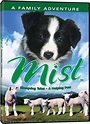 Mist - Sheepdog Tales: A Helping Paw (with Bonus Episode): Amazon.ca ...