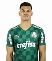 Danilo Barbosa :: Danilo Barbosa da Silva :: Palmeiras