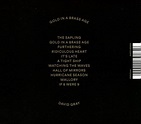 David Gray - Gold In A Brass Age, David Gray | CD (album) | Muziek ...