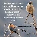 43 I Love You So Much Quotes - All Love Messages