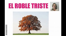 [CUENTO] EL ROBLE TRISTE 🌳😕 - YouTube