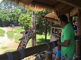 Jacksonville Zoo and Gardens - Jacksonville, FL - Kid friendly acti ...