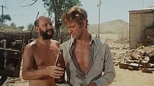 Wake in Fright (1971) | May 19, 12:00 am - Cinema Cocktail