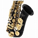 Elkhart 100AS Student Alto Saxophone, Black at Gear4music