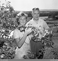 Ingrid Bergmans dotter Pia och första maken Aron Petter Lindström i ...