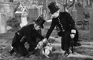 Challenge to Lassie (1949) - Turner Classic Movies