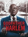 Godfather of Harlem - Next Episode