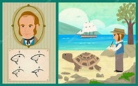 Darwin Adventure at the Galapagos Islands Stock Vector Image by ...