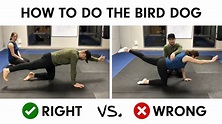 How To Do The Bird Dog Exercise And Avoid Injury - YouTube