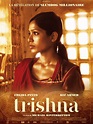 Cartel de la película Trishna - Foto 1 por un total de 15 - SensaCine.com