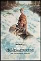 Homeward Bound: The Incredible Journey (1993) - Duwayne Dunham ...
