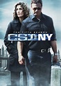 CSI NY | Tv Series Posters and Cast