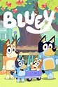 Bluey (TV Series 2018- ) - Posters — The Movie Database (TMDB)