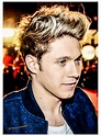 Niall Horan 2014 - One Direction Photo (36871827) - Fanpop