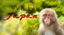 How to watch Wild Japan - UKTV Play