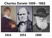 CHARLES DARWIN: Biografía, Teoría, Aportaciones, y mucho más