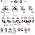 The Complete British Royal Family Tree and Succession Line (2022)
