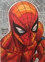 Spider-Man by Todd Nauck * | Spiderman art, Spiderman art sketch ...
