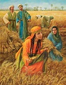 Old Testament 3, Lesson 7: Ruth - Seeds of Faith Podcast