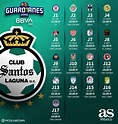 Santos Laguna | Liga MX: Santos Laguna, siempre en busca del ...