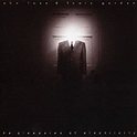 The pleasures of electricity - John Foxx - Louis Gordon - CD album ...