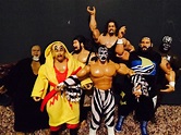 WCW The Dungeon of Doom Custom Action Figures | WrestleToy.com