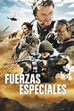 Special Forces (2011) - Posters — The Movie Database (TMDb)