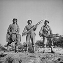 World War II: Rare and Classic Photos From the North African Campaign