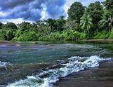 Clima en Costa Rica en febrero 2021 - Tiempo, Temperatura, Clima y Dónde ir