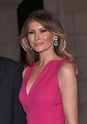 2454 best First Lady Melania Trump Community images on Pinterest ...