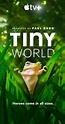 Voir Serie Tiny World en streaming