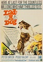 Lad: A Dog - VPRO Cinema - VPRO Gids
