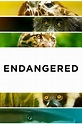 Endangered (película 2021) - Tráiler. resumen, reparto y dónde ver ...