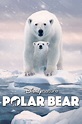 Polar Bear (2022) — The Movie Database (TMDB)