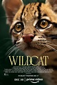 Wildcat (2022)