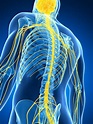 Do I have nerve pain? | Institute of Sports and Spines