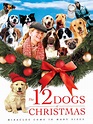 Prime Video: The 12 Dogs of Christmas