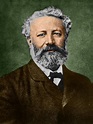 Manual del científico: Julio Verne (1828-1905) Escritor francés.