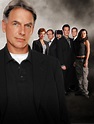 NCIS cast - NCIS Photo (2263715) - Fanpop