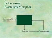 Behaviorism Black Box Metaphor