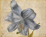 Albrecht Dürer - Watercolor Master