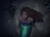 Halle Bailey making waves in representation with live-action 'Little ...