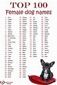 Unique And Beautiful Female Dog Names For 2023 - cafe baruya